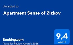 Apartment Sense Of Zizkov